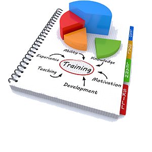 organization